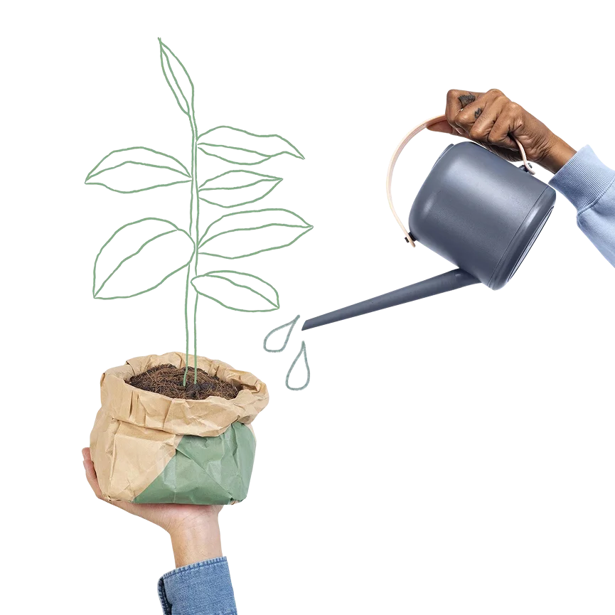 plant-img